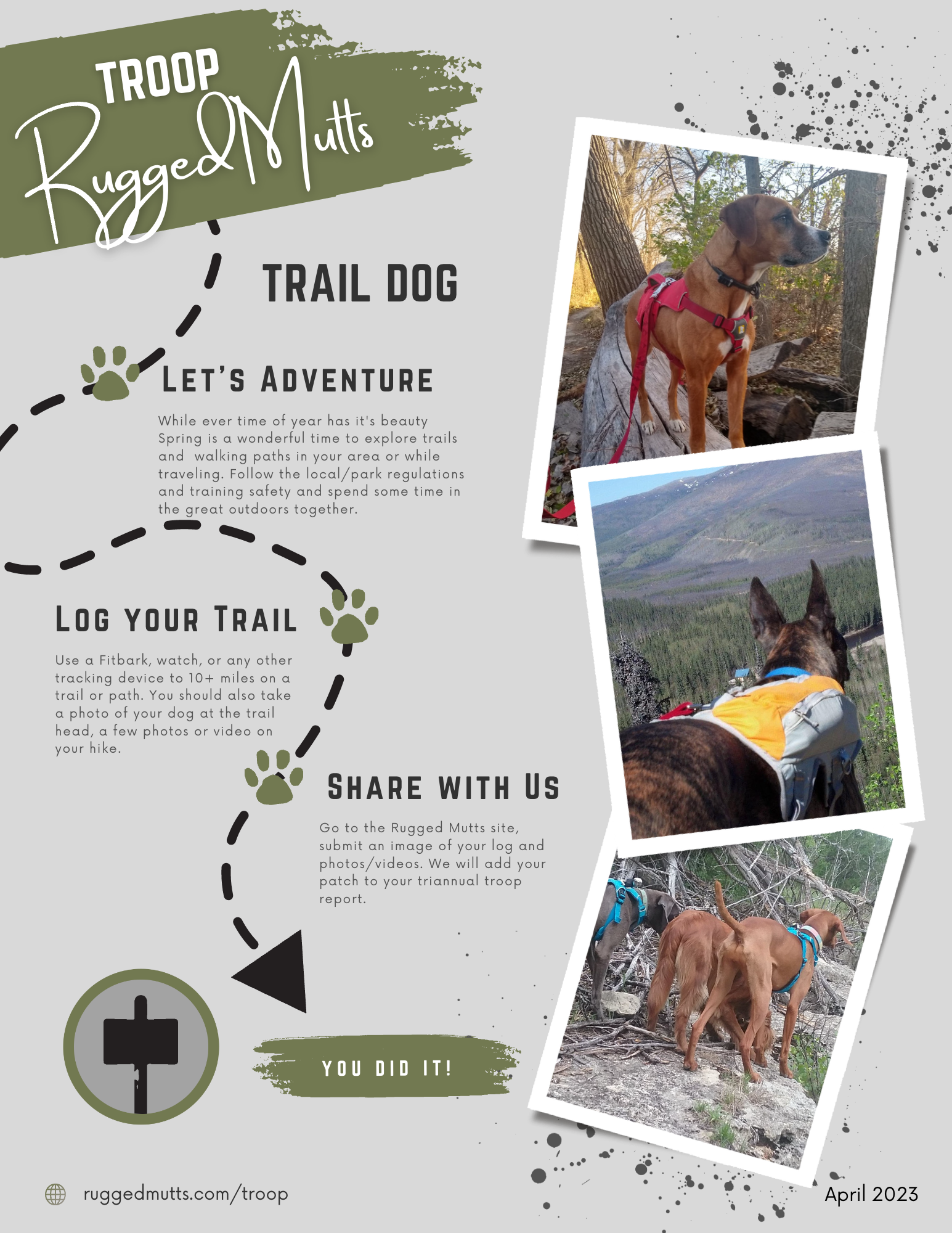 Trail Dog